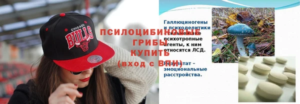 СК Аркадак