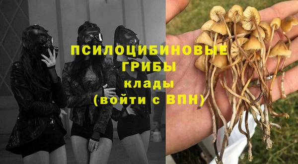 СК Аркадак