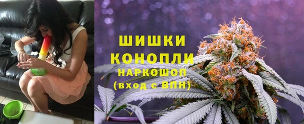 СК Аркадак
