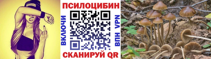 закладки  Нягань  Галлюциногенные грибы Magic Shrooms 